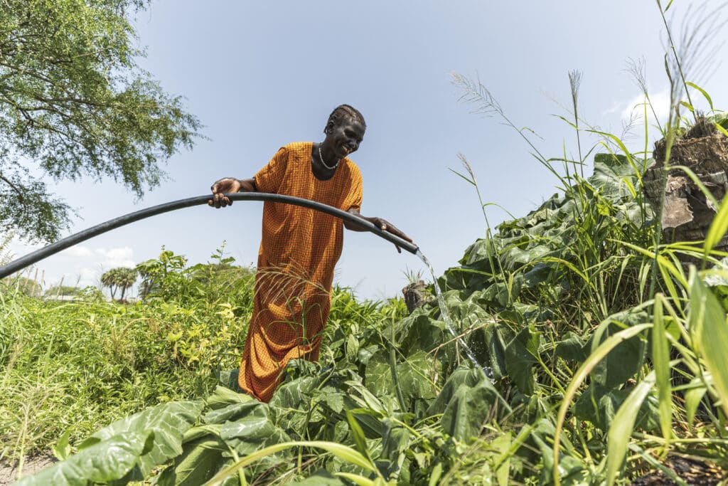On 23.07.2025, Akuach Manyang Geng a member of VSLA group from the Peace and Stability project at her farm in Bor, South Sudan