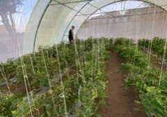 IMG-20251007-WA0079 IMG-20251007-WA0079