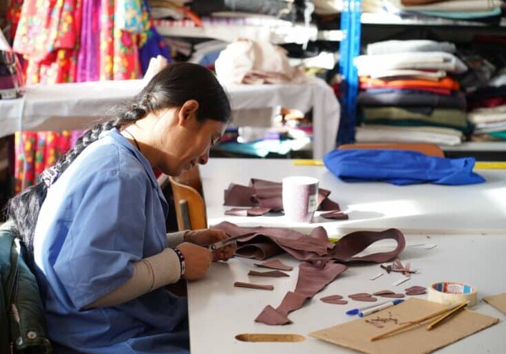 ioana Project participant